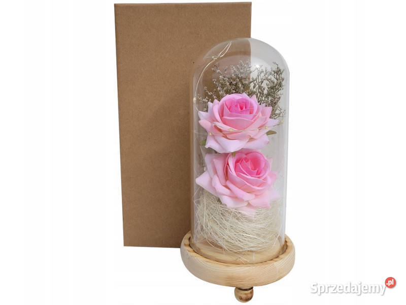 Wieczna róża w szkle LED dzika świecąca sztuczna Mikołów