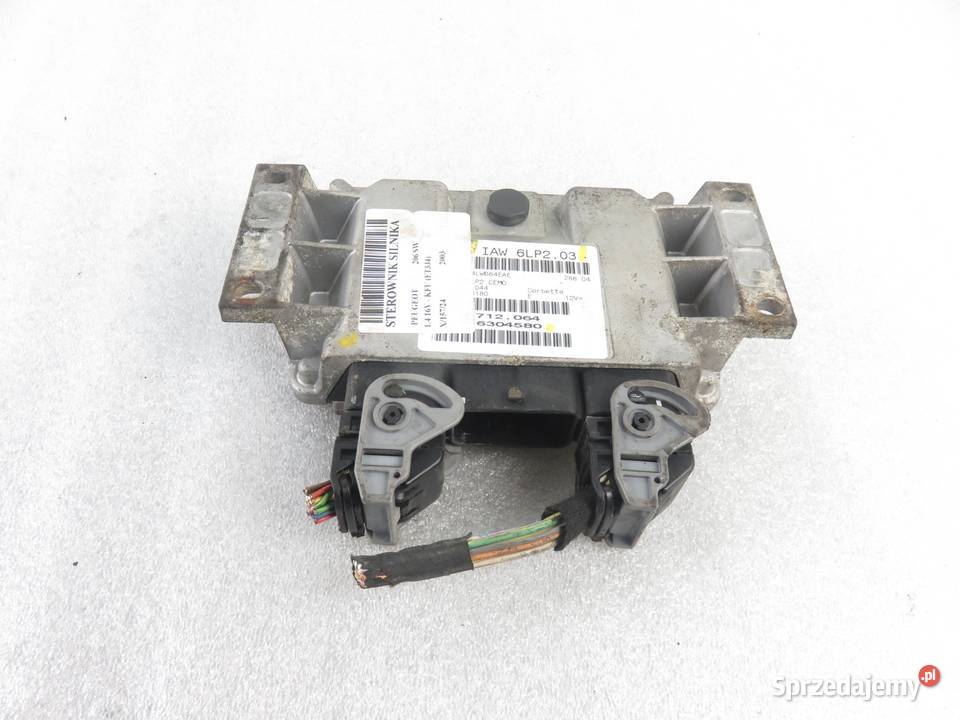 STEROWNIK PEUGEOT 206 14 IAW6LP203 9656304580