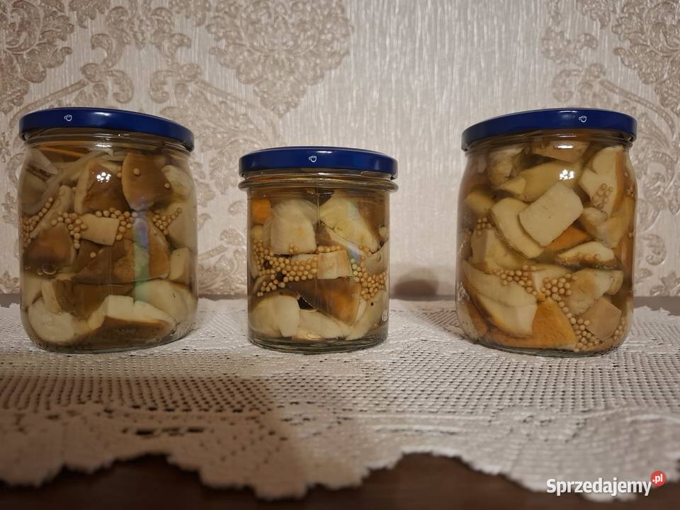 Borowiki podgrzybki marynowane w zalewie octowej śląskie