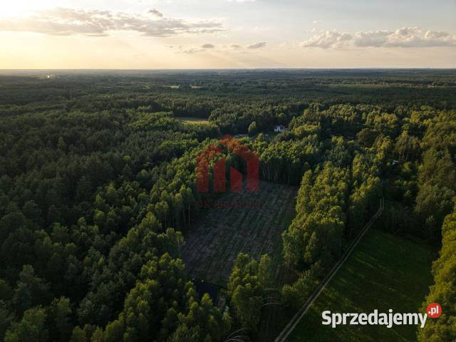 Działka 900m2 Czarna Sędziszowska budowlana