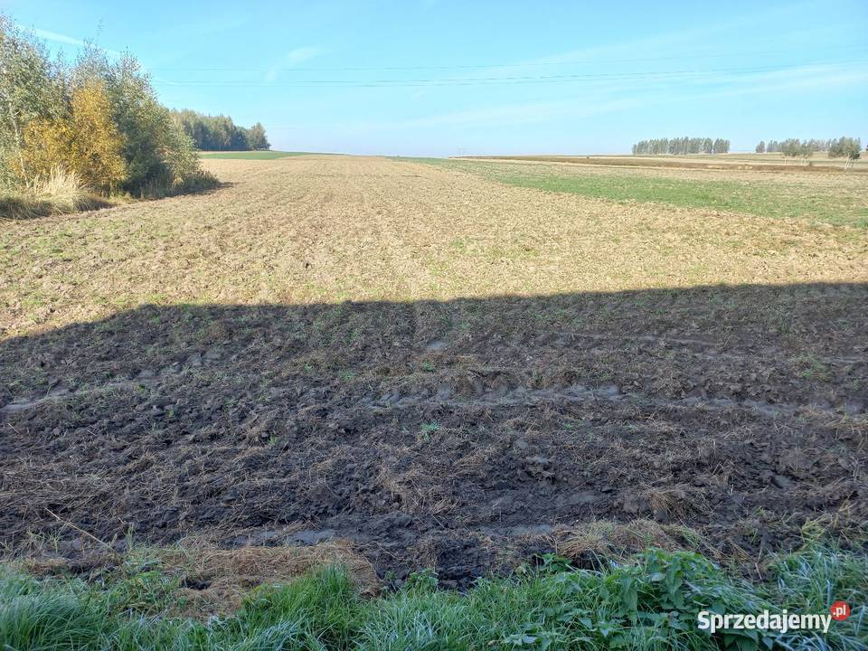 Dom piętrowy w Starokrzepicach sprzedam Starokrzepice