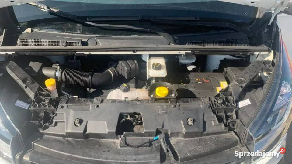 Renault Trafic 16DCI 100 Start Stop L1H1 Komfort Rok produkcji 2019