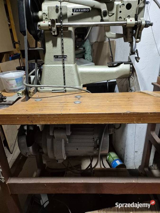 Rymarka praworamienna mazowieckie