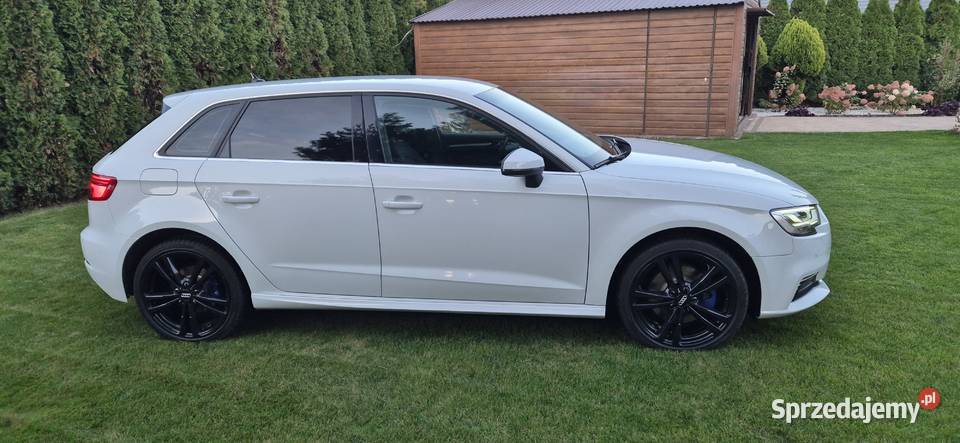 Audi A3 etron niski przebieg Turek