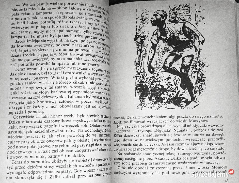 W puszczach i sawannach Kamerunu Kamil Giżycki lubelskie Chełm sprzedam