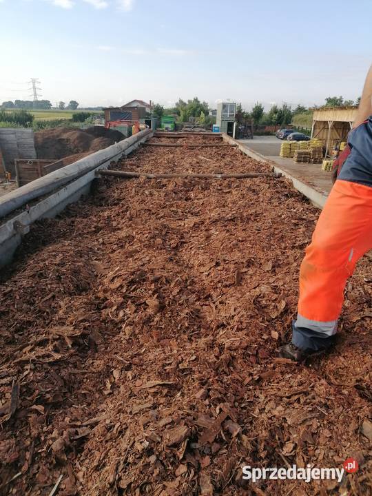 Kora sosnowa luz ilość i hurtowe cała polska Poznań sprzedam