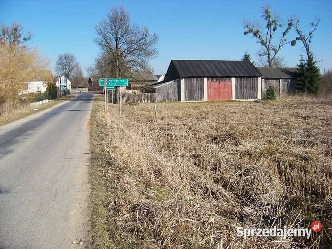 Sprzedam działkę rolna Sprzedaż Grębenice