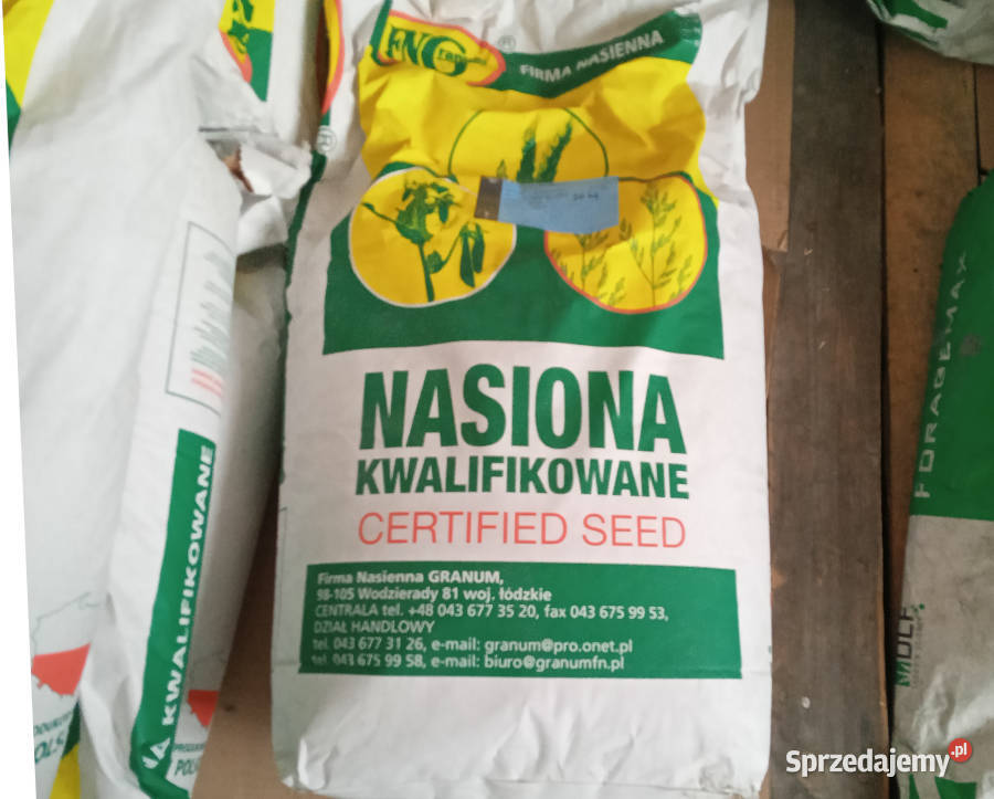 Facelia Błekitna Stala C1 worek 20 Pozostałe Taczanów Pierwszy