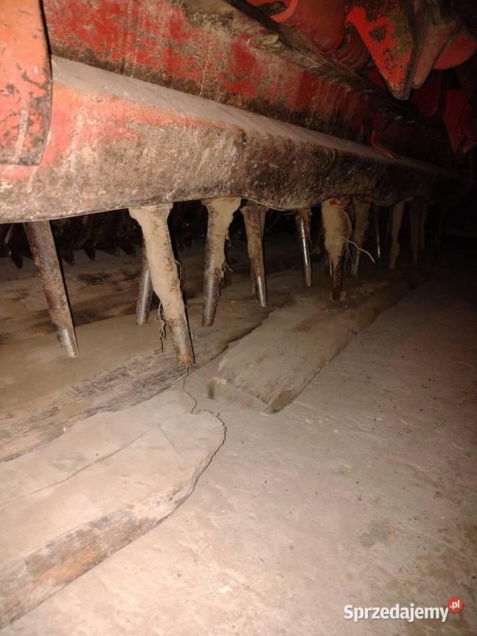 Brona aktywna nieuszkodzony Agregaty