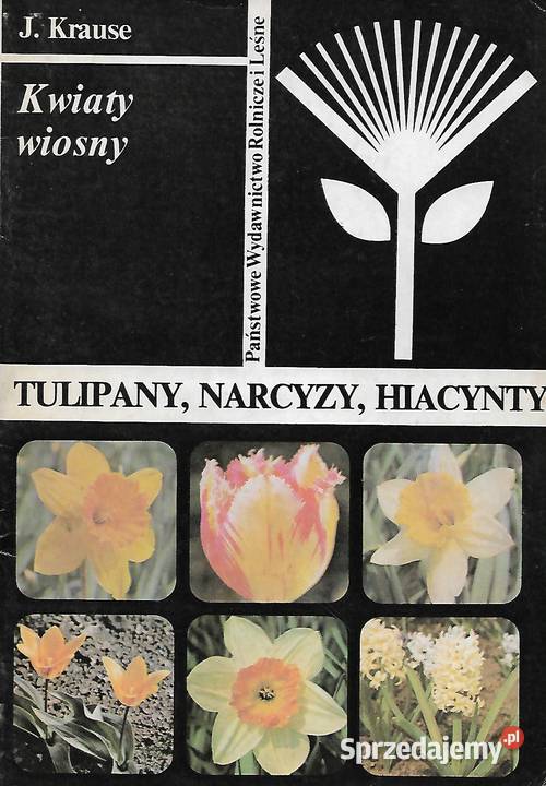 Tulipany narcyzy hiacynty J Krause dom i ogród Poradniki, albumy i reportaże Puławy