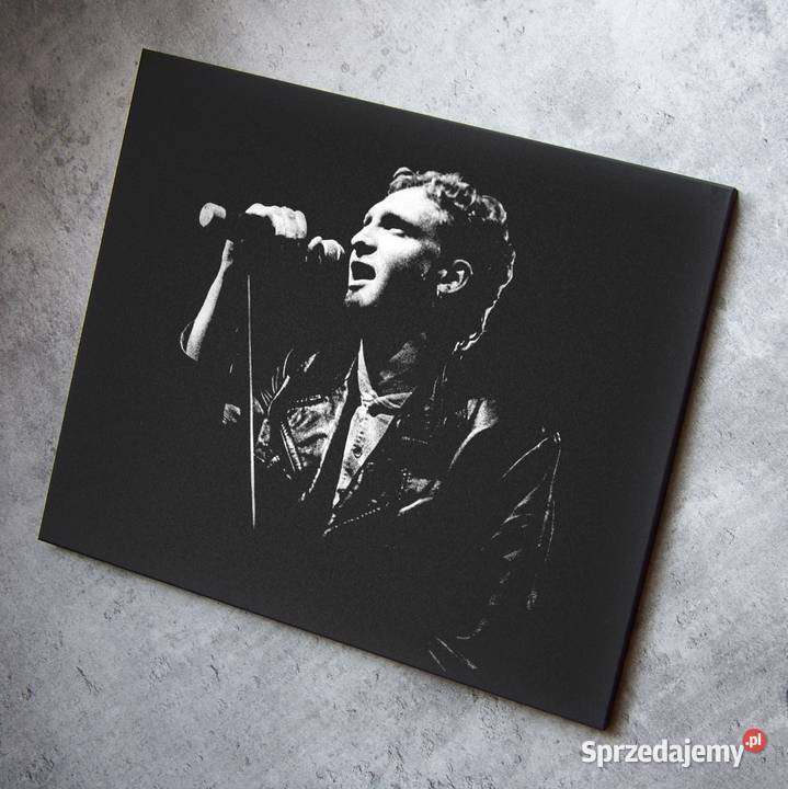 Layne Staley Alice in Chains obraz ręcznie Sandomierz