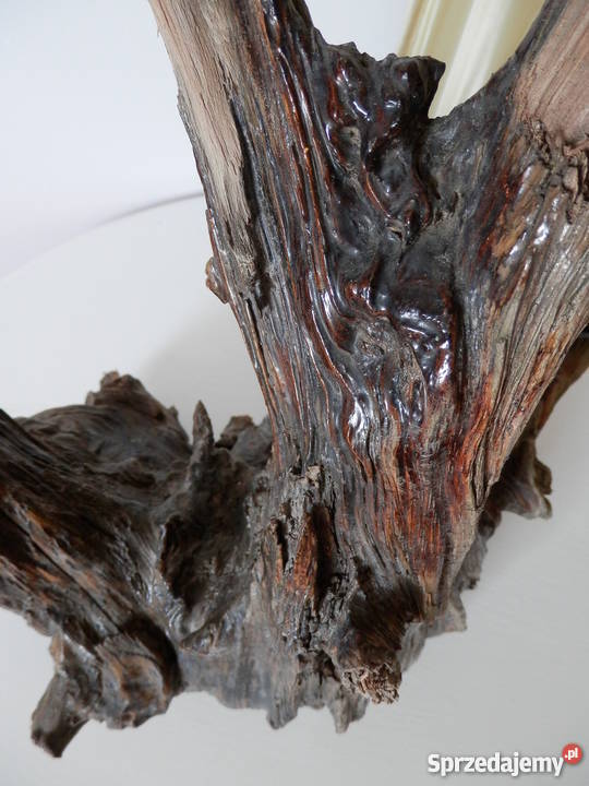 Lampa wykonana ze skamieniałego drewna unikatowy Szczecinek