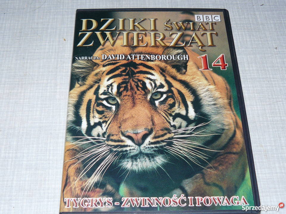 Płyty DvD świat zwierząt na jesienne wieczory Filmy Nowa Sól