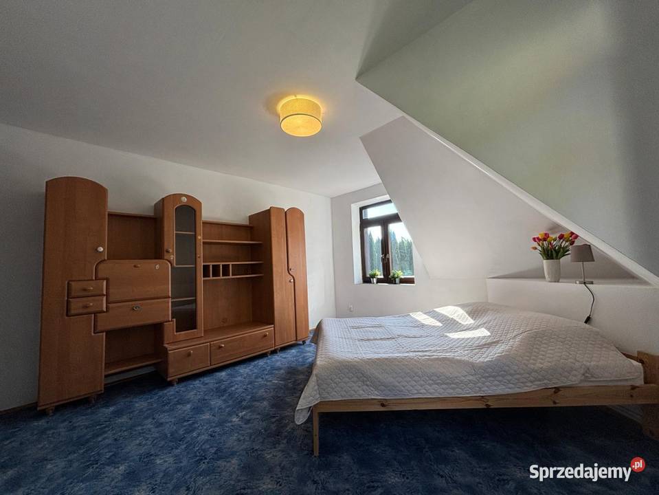 Nieruchomość na sprzedaż węglowe