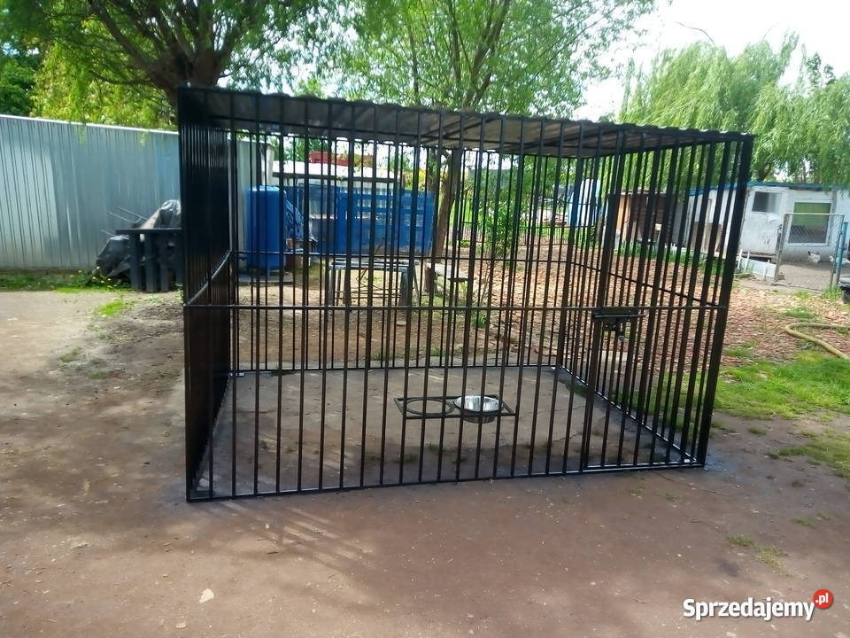 Woliery Kojce Pichorowice