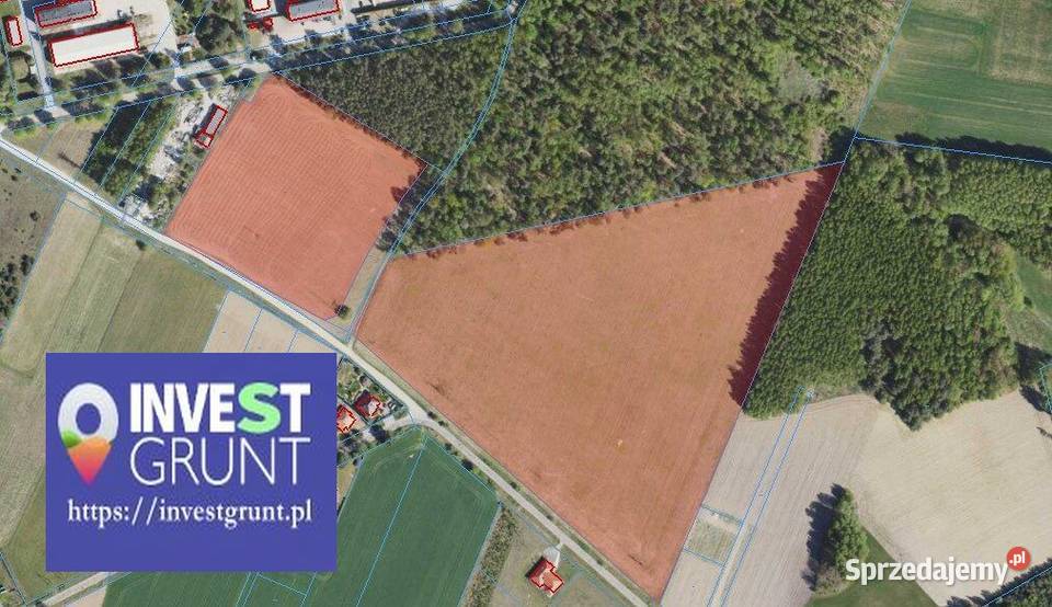 1309 ha przetarg na dzierżawę gruntów rolnych Mieszki-Kuligi sprzedam