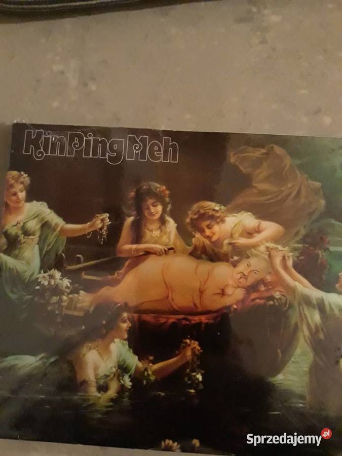 KIN PING MEH King Ping Meh niemiecki rock Rzeszów