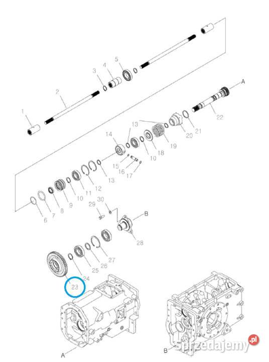 Koło zębate napędu 4WD TRG288 LS Tractor podkarpackie Tajęcina