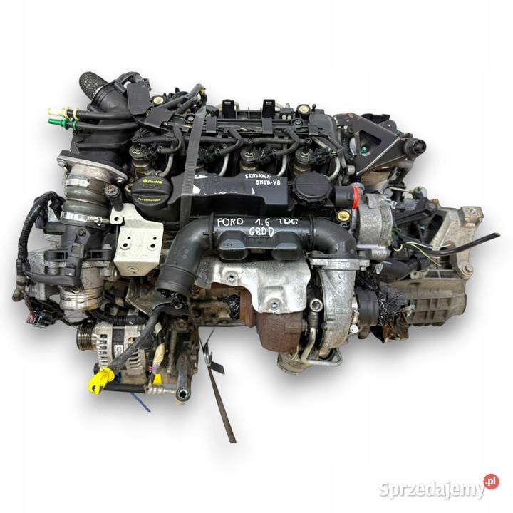 SILNIK KOMPLETNY G8DD Ford Focus II MK2 C C 16 Chełm