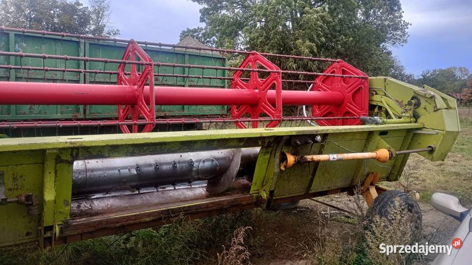 Claas commandor 116 CS heder 550 Niedźwiedzica