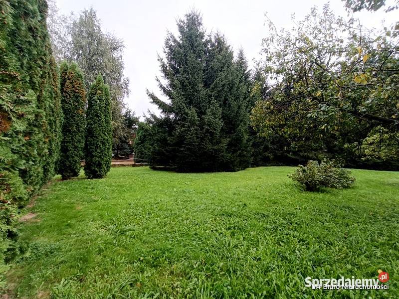 DOM W JASZCZWI Z DUŻĄ DZIAŁKĄ 53 AR Jaszczew