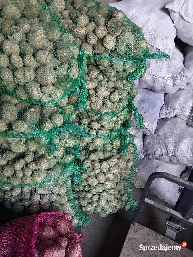 Ziemniaki zwierząt drobne 40gr