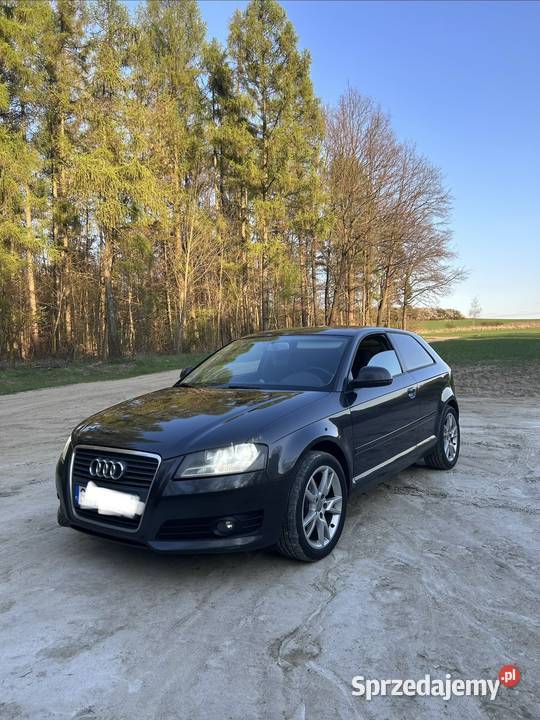 Audi A3 8PA 16TDI 105 A3 Żarki