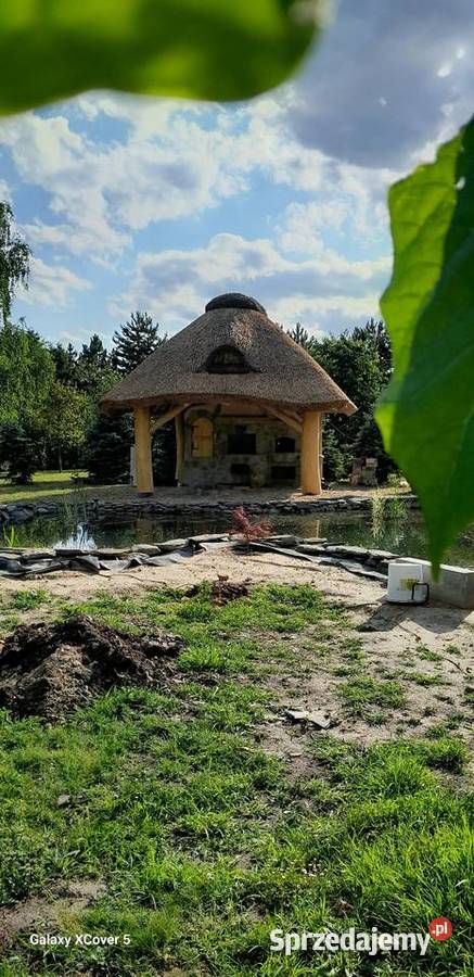 StrzechaAltany dolnośląskie Trzebnica