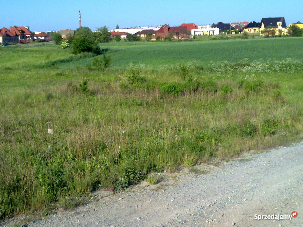 DziałkaGNIEZNORóża Gniezno