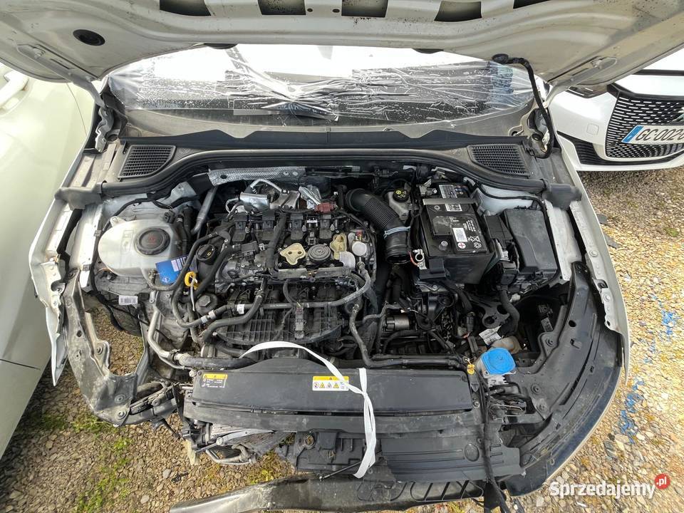 VOLKSWAGEN Golf VIII 20 GTi 245 DSG7 HE553 Hatchback Wrocław