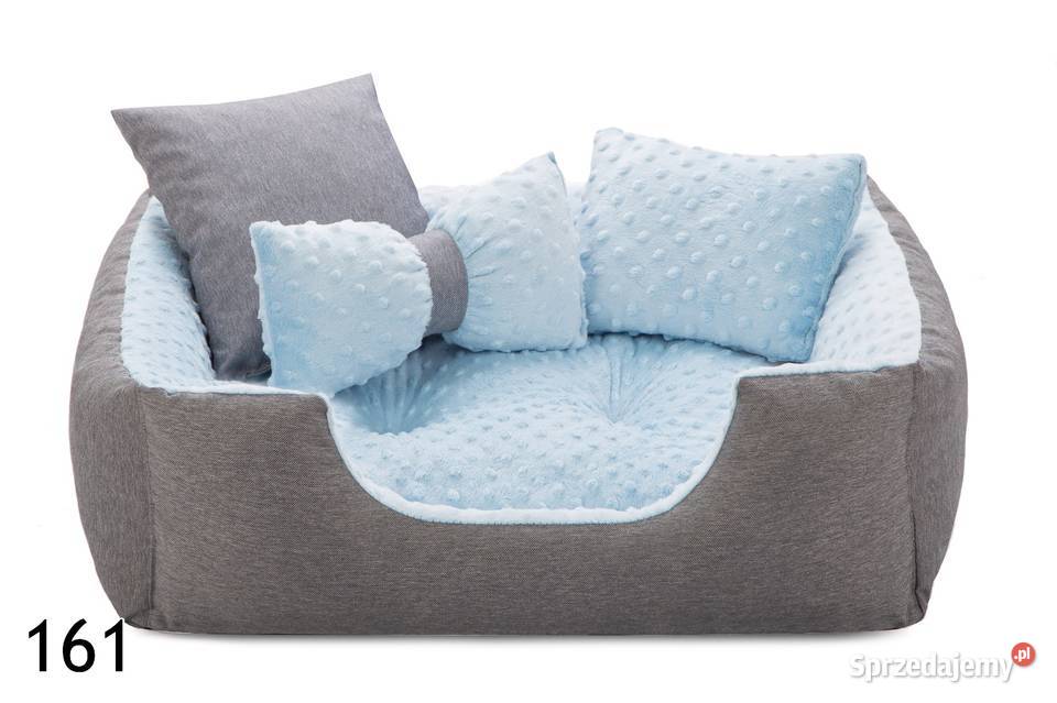 Nowe legowisko zwierząt Częstochowa