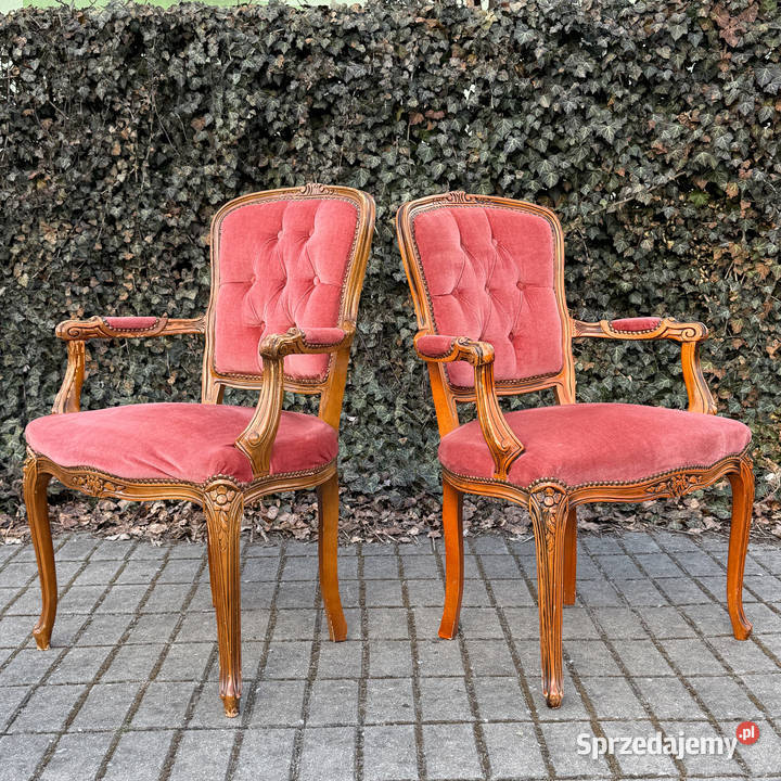 ARTexpert Para foteli Ludwik fotel siedzisko Dobrzany