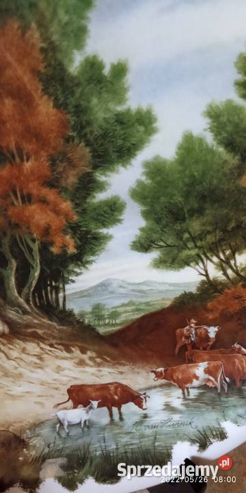 vintage talerze kolekcjonerskie Nowy Targ sprzedam