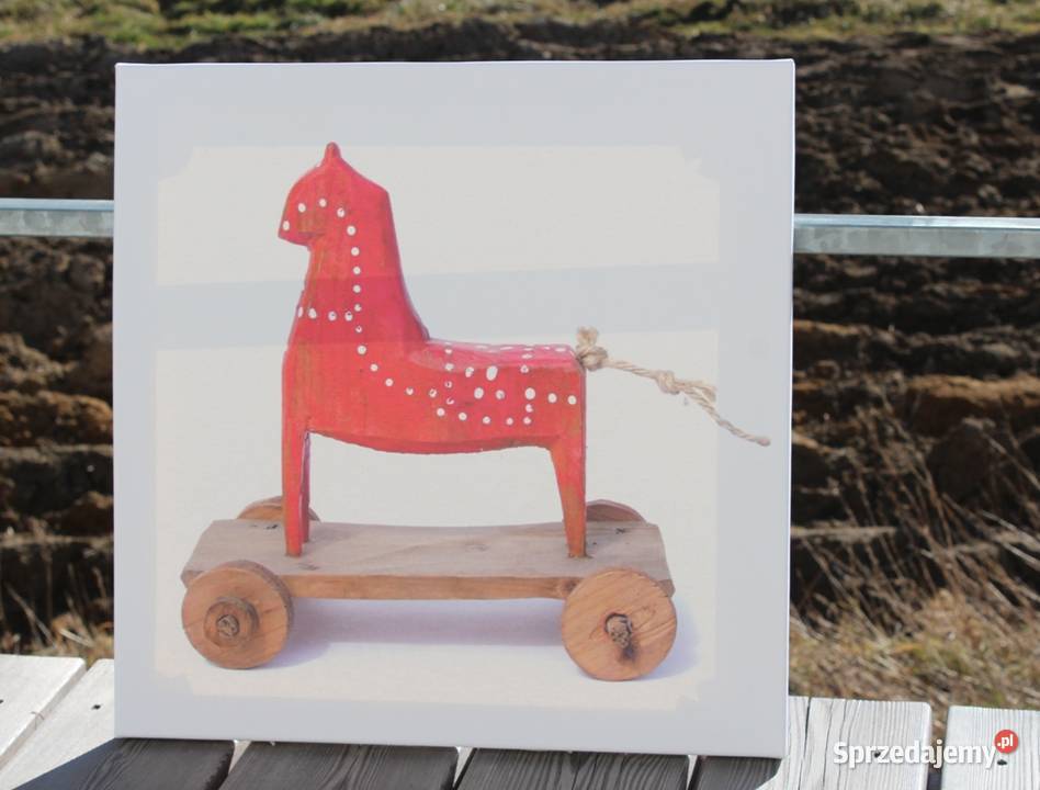 fotografia artystyczna drewniany konik Warszawa