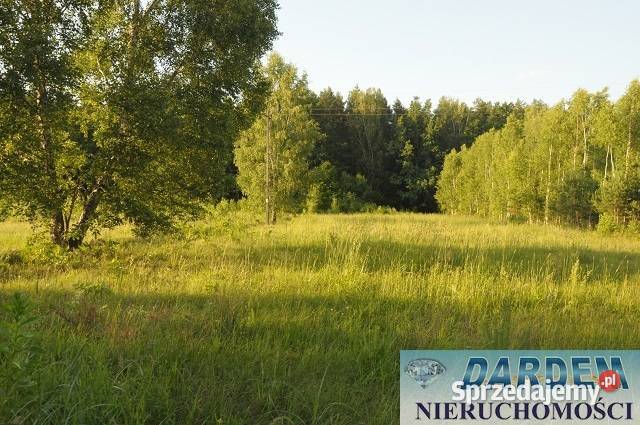 Działka rolnoleśna 046 ha CIASNE gm Supraśl 4zł/m2 podlaskie