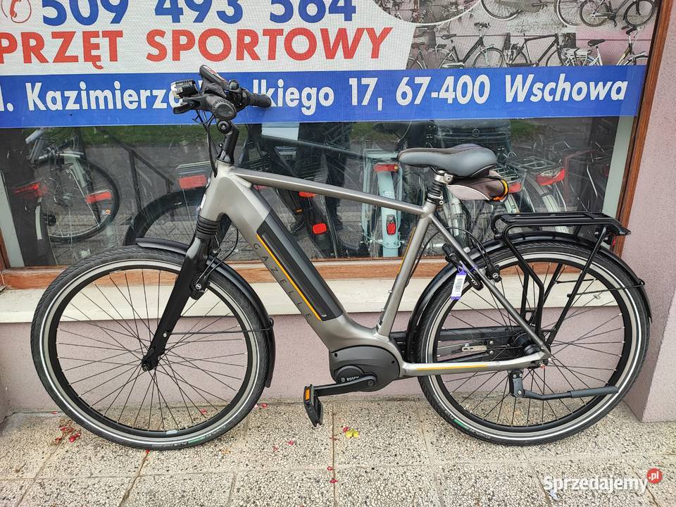 Gazelle C8 Bosch Active PlusR 58LXL Nowy Wschowa