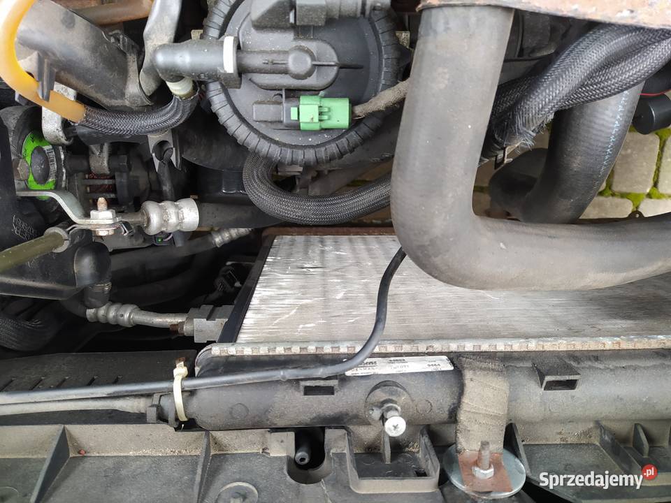 Citroen Berlingo 20 HDI Przedecz