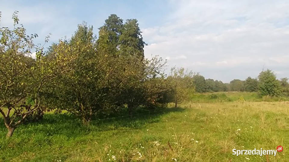 Działka rzeką Rawką mazowieckie Laski