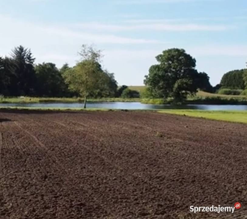 Glebogryzarka separacyjna GARBATKALETNISKO Garbatka-Letnisko