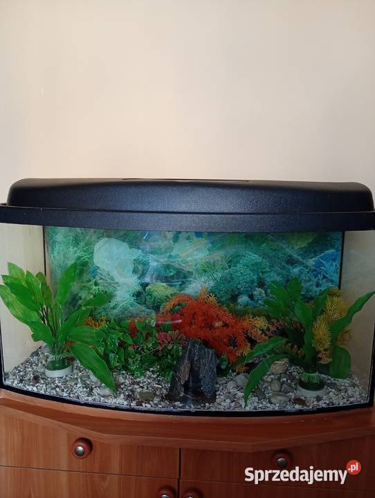 Sprzedam akwarium podlaskie Suwałki