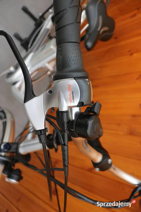 Rower elektryczny Flyer D 45 i inne rowery Milanówek sprzedam