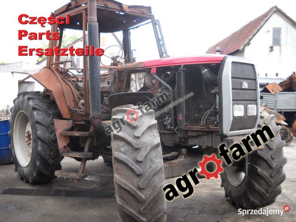 Massey Ferguson 8110 części skrzynia biegów oś Pozostałe Byków