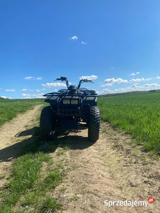 Quad Yamaha Big Bear 350