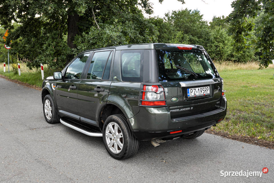 Land Rover Freelander 22TD 4x4 Bezwypadkowy Freelander Wrocław