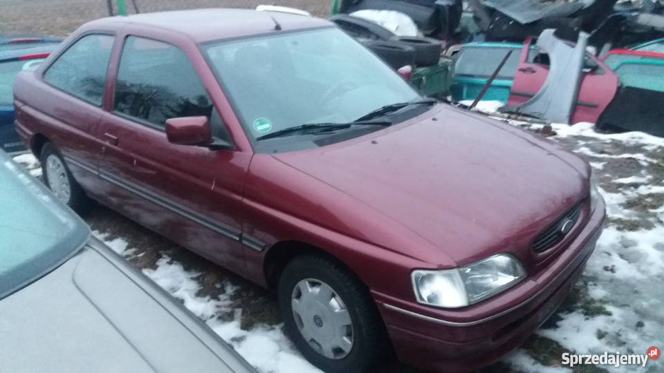 Escort Z niemiec Elbląg