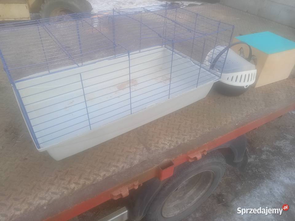 Klatka królika 1 m świnki kuweta pralka Frania Czernikowo