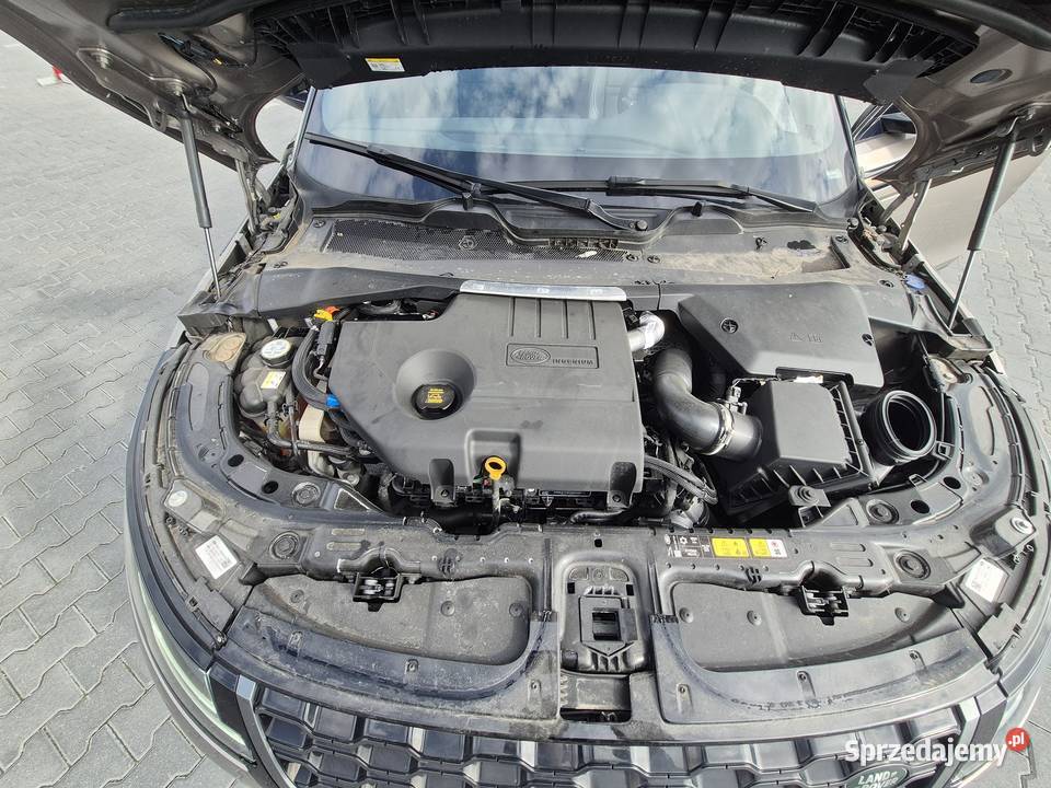 Syndyk sprzeda Range Rover Evoque 20 Diesel MHEV Warszawa sprzedam