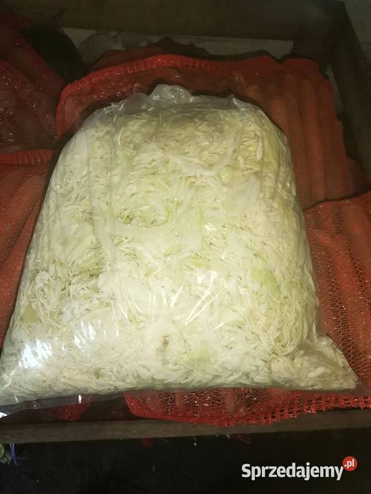 SPRZEDAM KAPUSTA SZATKOWANA SZATKA KAPUSTA Proszowice sprzedam