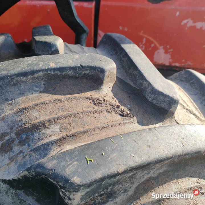 Zetor 85 40 96r 85 4x4 Poddębice