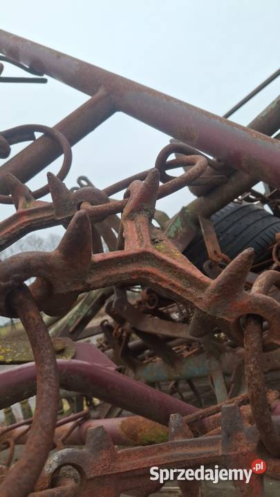 Włóka łąkowa Rembieszyce